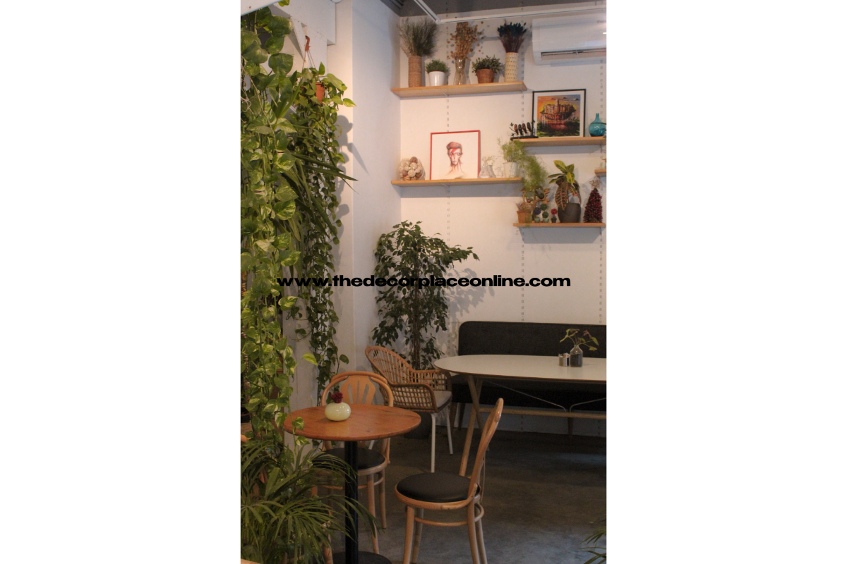 Scented Indoor Plants